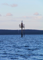 Sailing past cormorants on the marker, Eastern Cove